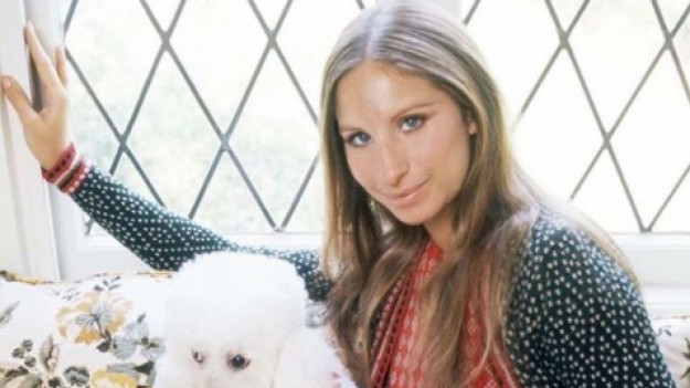 Barbra Streisand Sklonowaa Swojego Psa Organizacja PETA Oburzona